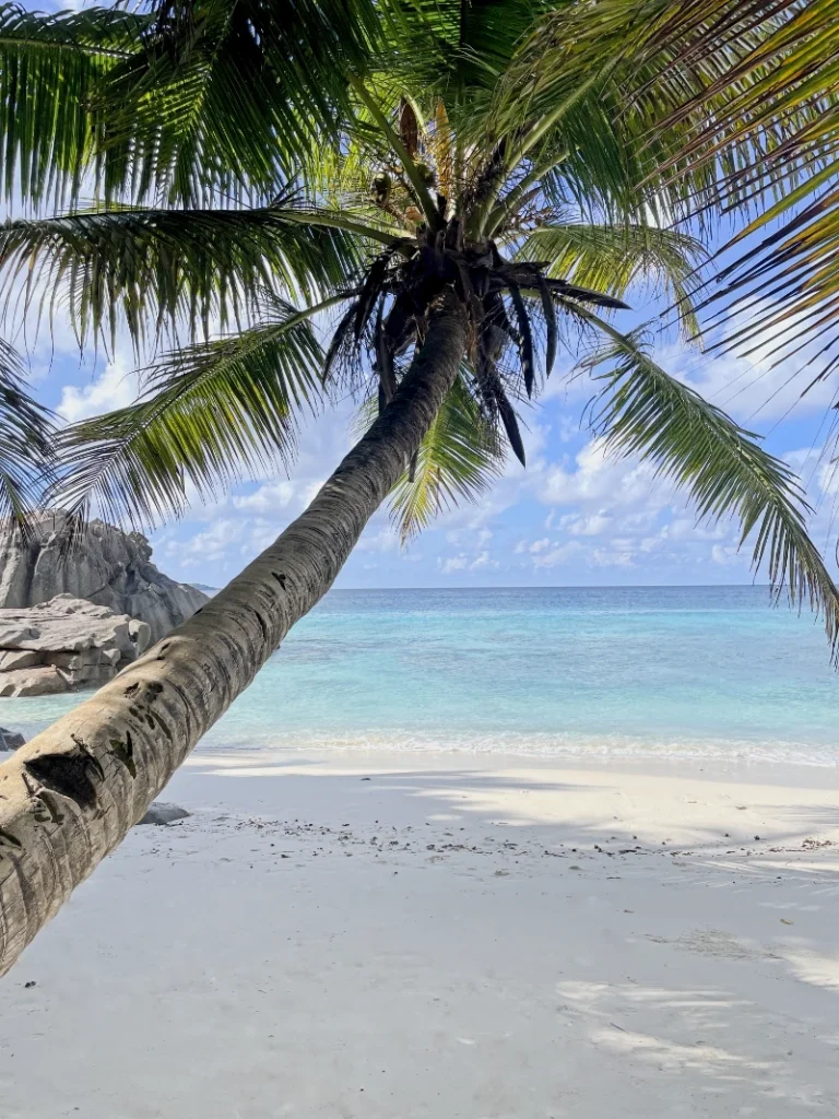 Hier sieht man, wie sauber Strände und das Meer sein sollten